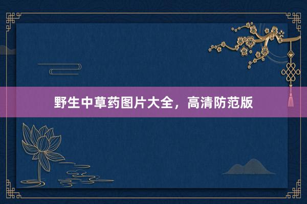 野生中草药图片大全，高清防范版